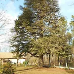 게스트하우스 D'hotes Capsylvaine