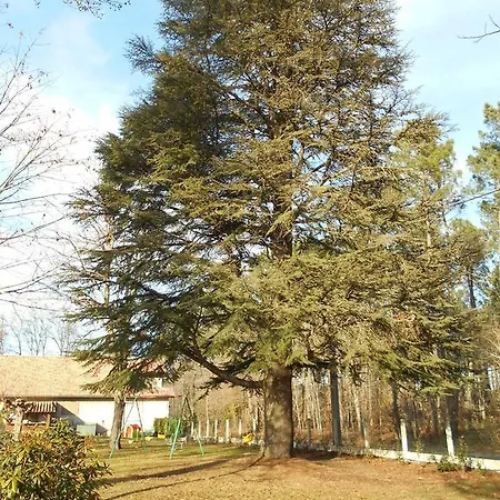 Guest house D'hotes Capsylvaine